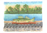 Fish Train